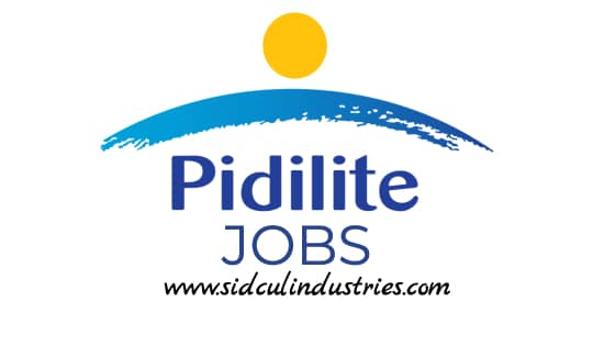 Business Development Engineer at Pidilite Industries Limited in Dehradun